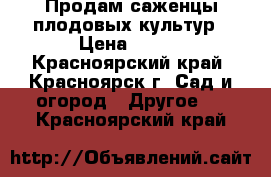 Продам саженцы плодовых культур › Цена ­ 130 - Красноярский край, Красноярск г. Сад и огород » Другое   . Красноярский край